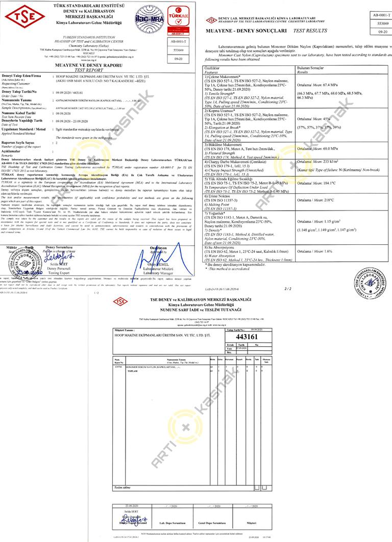 TSE TEST REPORT